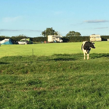 ホテル Carreg Y Gwynt Campsite - Touring And Tent Pitches Llanarth  エクステリア 写真