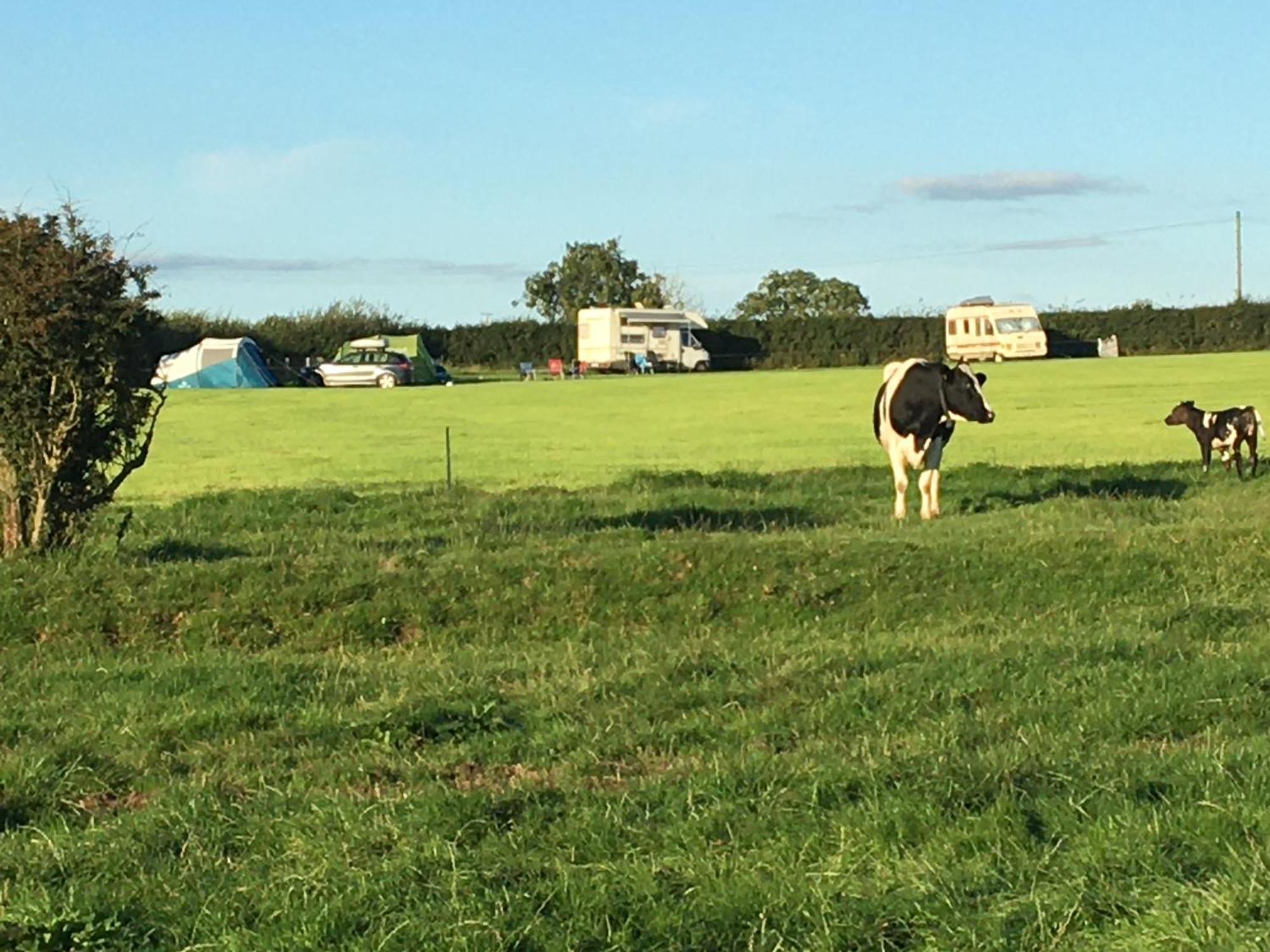 ホテル Carreg Y Gwynt Campsite - Touring And Tent Pitches Llanarth  エクステリア 写真